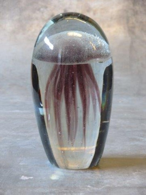 Jellyfish, paars L